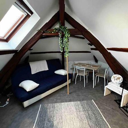 Apartament Tres Beau Studio Mansarde, Centre De Bourges Zewnętrze zdjęcie