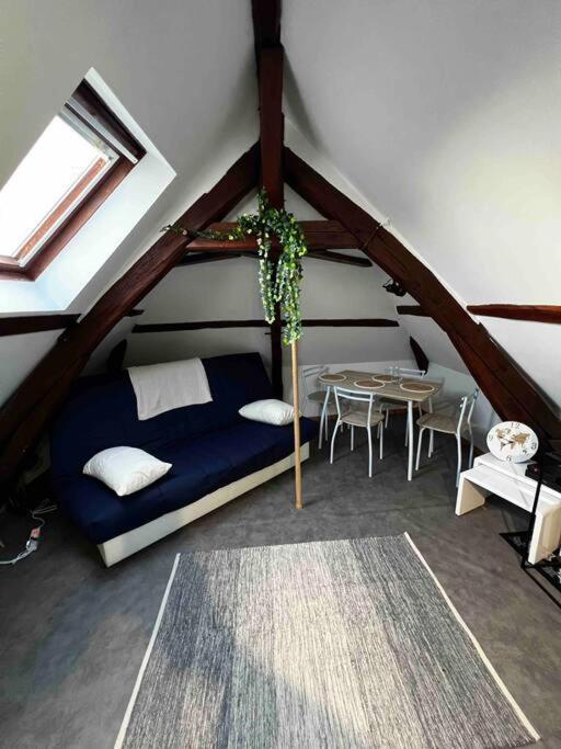 Apartament Tres Beau Studio Mansarde, Centre De Bourges Zewnętrze zdjęcie