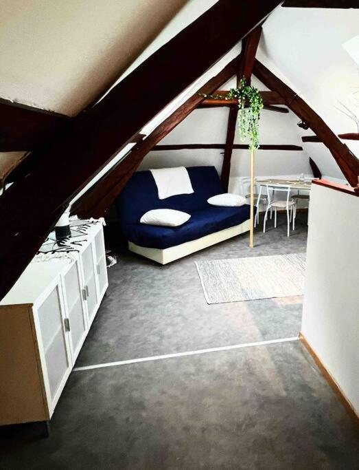 Apartament Tres Beau Studio Mansarde, Centre De Bourges Zewnętrze zdjęcie