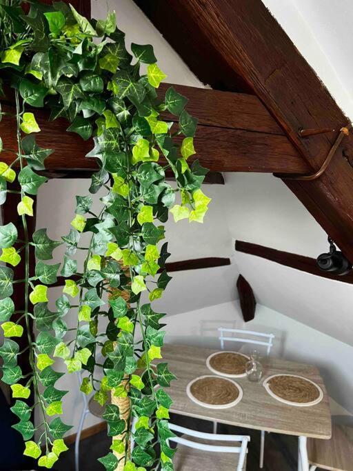 Apartament Tres Beau Studio Mansarde, Centre De Bourges Zewnętrze zdjęcie